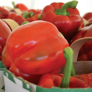 Red Bell Pepper Competition