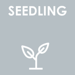 Seedling Level Sponsorship